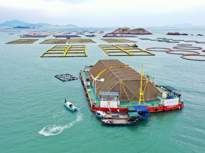 福建省委书记周祖翼：实施新时代民营经济强省战略 促进福建民营经济发展壮大