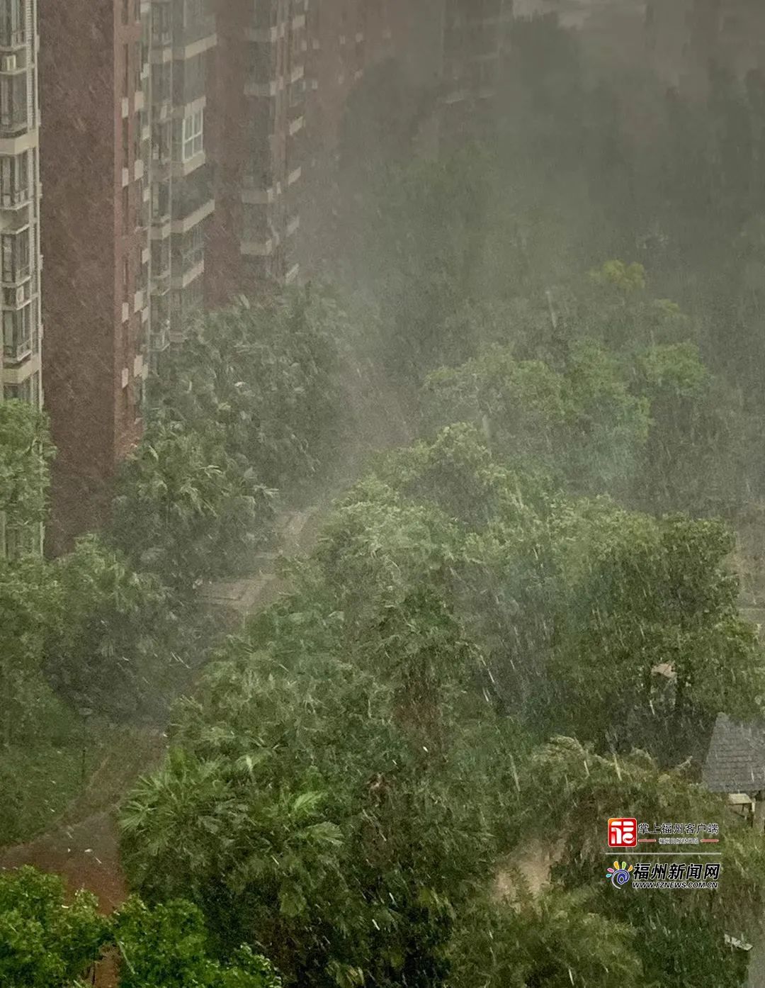 一秒天黑、狂风大作！福州发布预警！