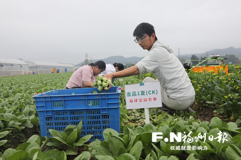琅岐建设种业创新基地 探索农文旅融合模式