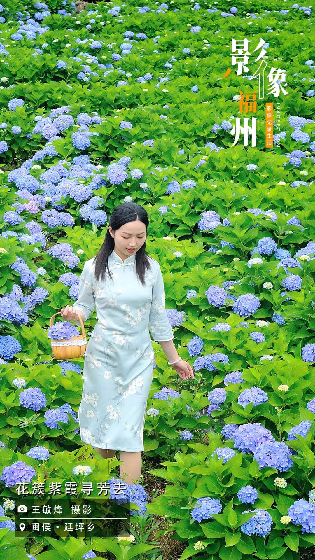 影像福州｜花簇紫霞寻芳去