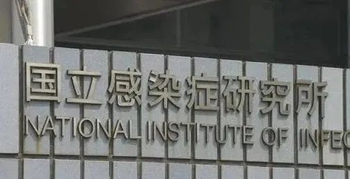容易被误诊为感冒，日本“食人菌”感染破千！发病到休克最快只需24小时