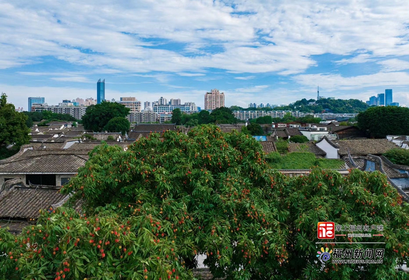 不止“爱心树”，福州三坊七巷还有这些打卡点！