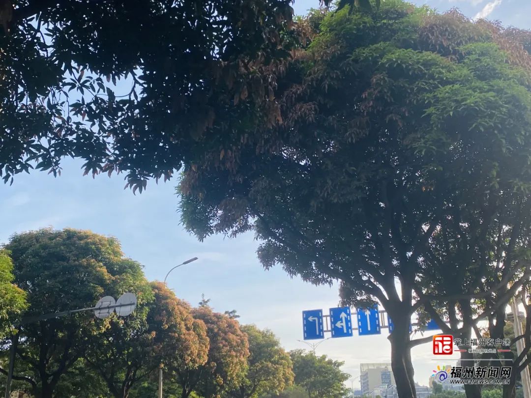 千万别吃！福州街头已出现！