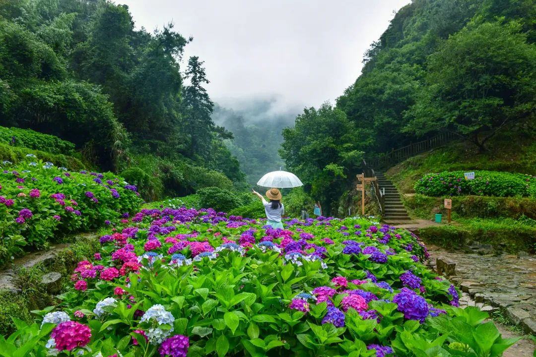 今年首次！福州主城区突破40℃！快来这些宝藏避暑地打卡