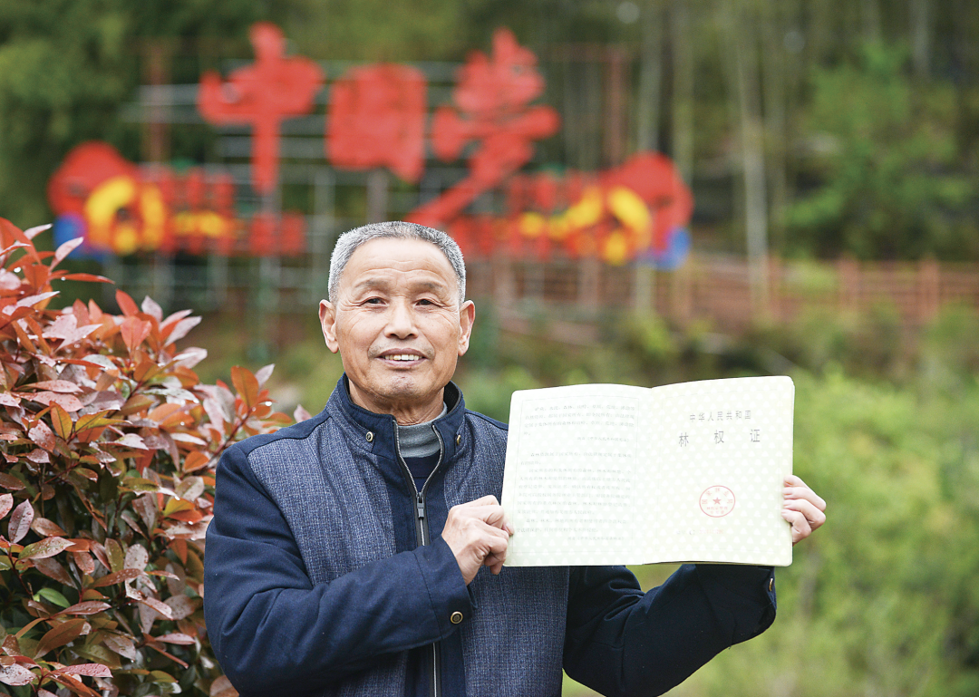福建“答卷”出炉，“含绿量”遥遥领先！
