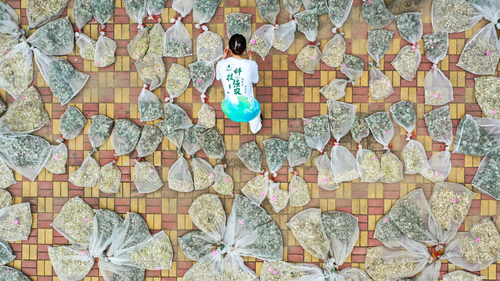 镜观·回响丨当好国家粮食稳产保供“压舱石”