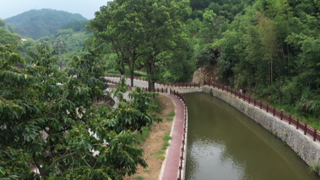 河道焕新颜，罗源这条溪绘就生态画卷