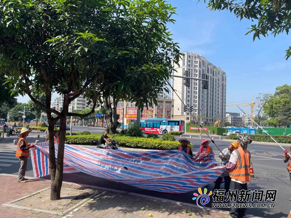 绿化芒成熟砸到行人怎么办？市园林部门出手开“打”了