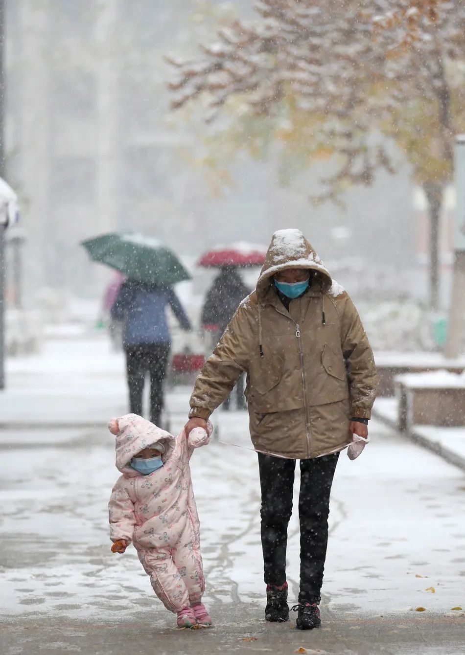 福建发布寒潮警报！全国各地雪景来了！