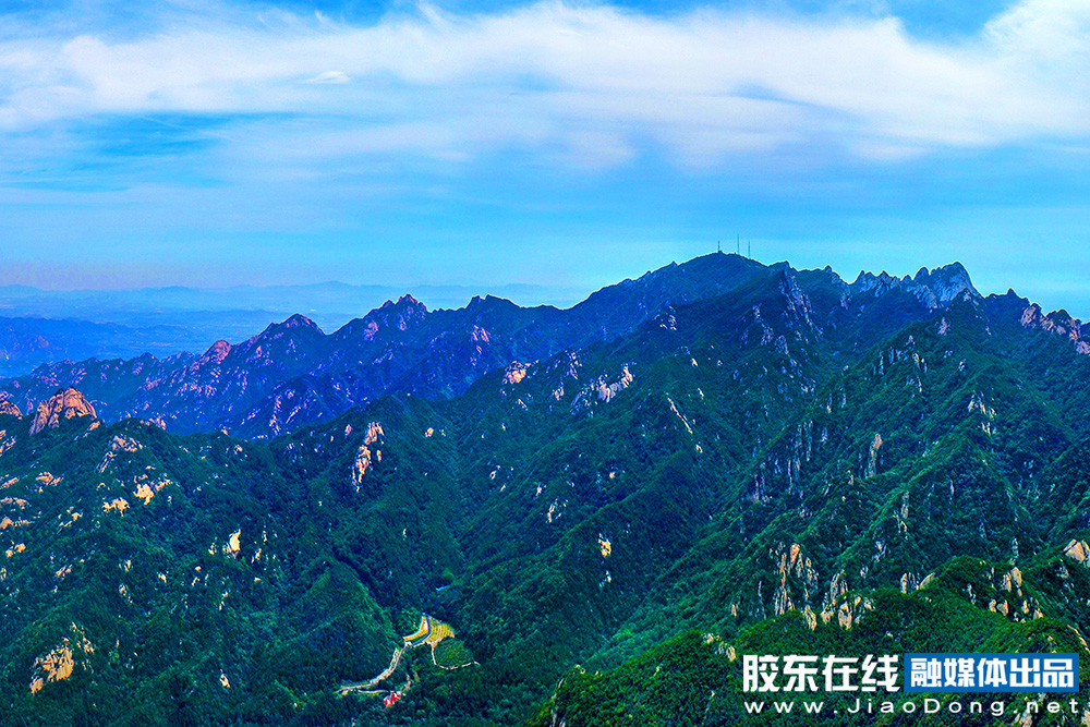 这个夏天，来烟台看绿